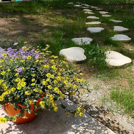 Bed & Breakfast La Belhomiere *